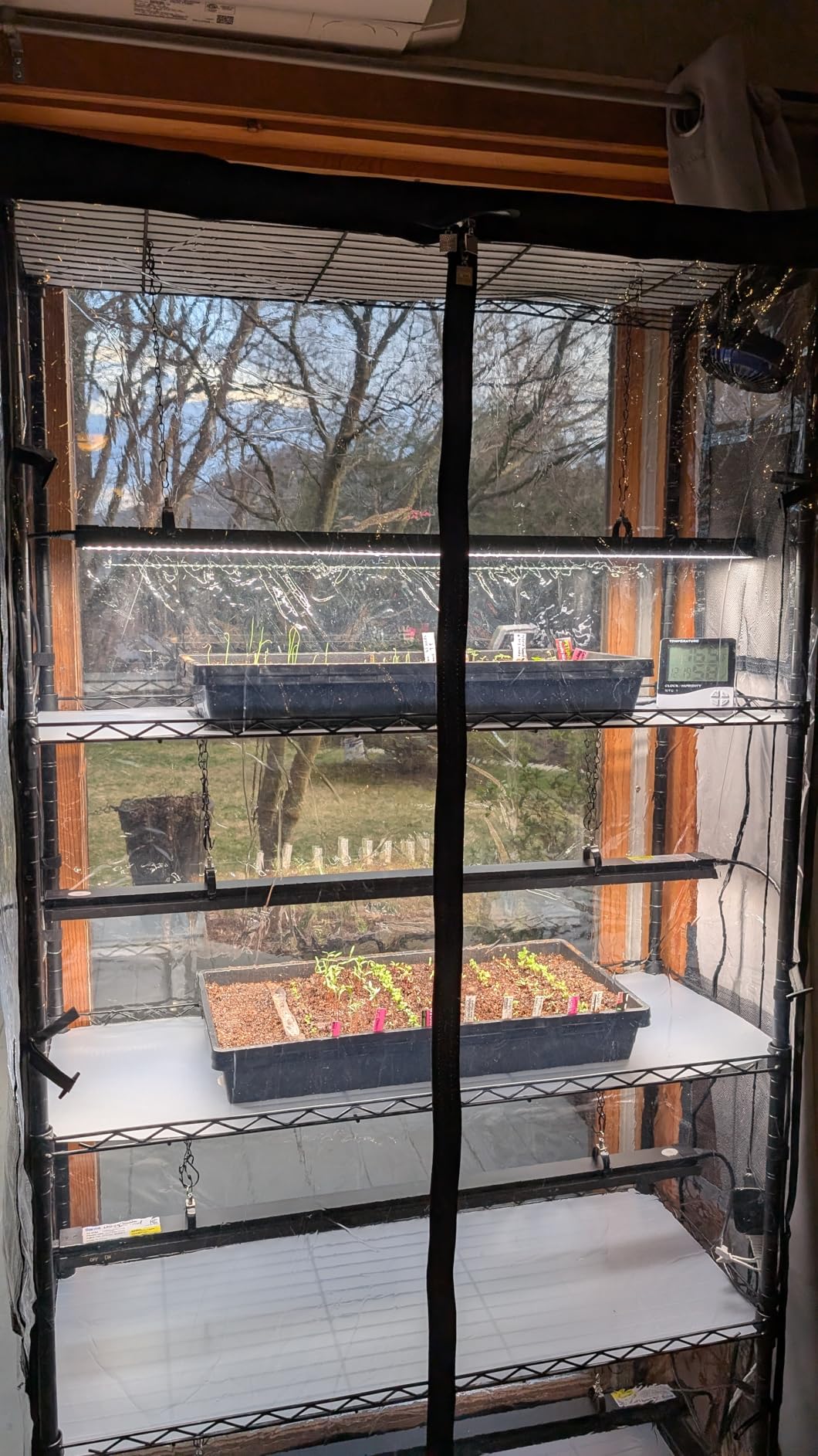 Barrina LP600 Mini Greenhouse with Grow Lights, 5-Tier Plant Stand with 100W TX-S25 1.6FT 5000K Full Spectrum Plant Shelf with Tent, Timer & Thermometer for for Seed Trays Growth, 23.6 x 13.8 x 70.9IN customer photo 2