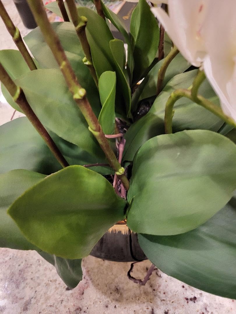 CXGS Orchids Artificial Flower Real Touch Faux Orchid in Large Ceramic Vase 23.6