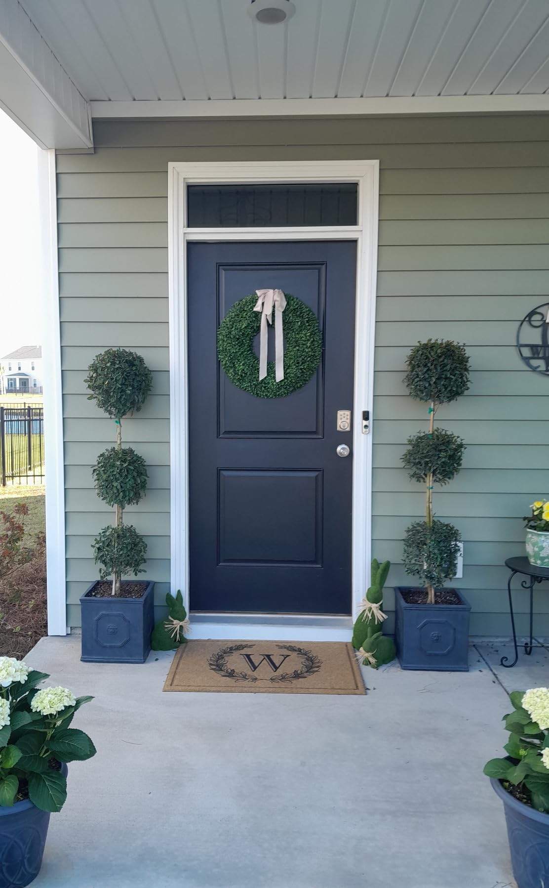 Kante Square Lion Head Concrete Planter, Classic English Style Plant Pot with Drainage Hole and Rubber Plug for Indoor Outdoor Garden Patio Home, 10.2