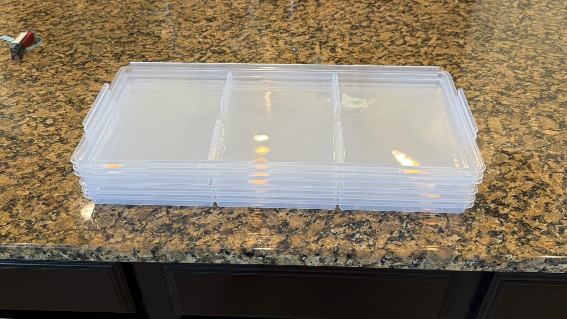 Large Tray Lids for Harvest Right Freeze Dryer Large Trays. 6 Pcs pack for Harvest right freeze dryer accessories customer photo 1