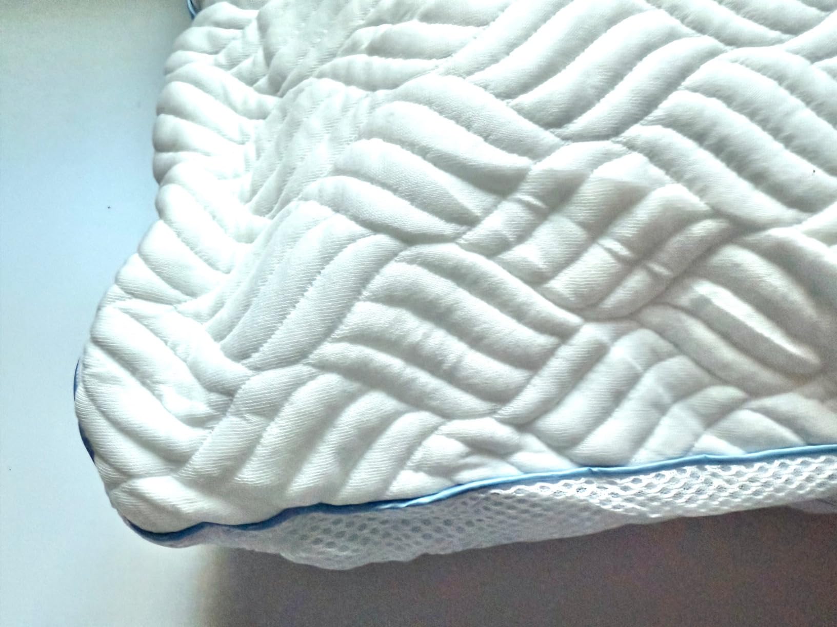 Canadian Luxurios Goose Down Pillows 80% Down 20% Feather 900 Fill Power 20X30 in Bed Pillows with 100% Cotton Pillow Shell 600TC Fluffy Soft (Queen, Pack of 2) customer photo 1