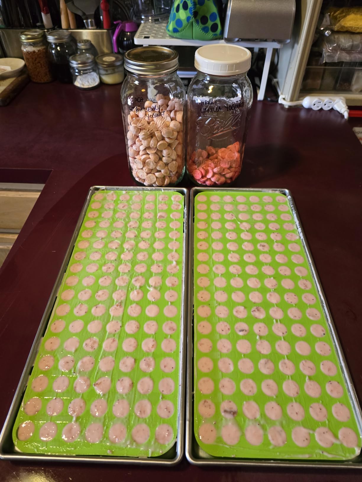 5 Pcs Silicone food molds for harvest right freeze dryer medium trays, Silicone Food Molds Ball for Harvest right freeze dryer accessories customer photo 1