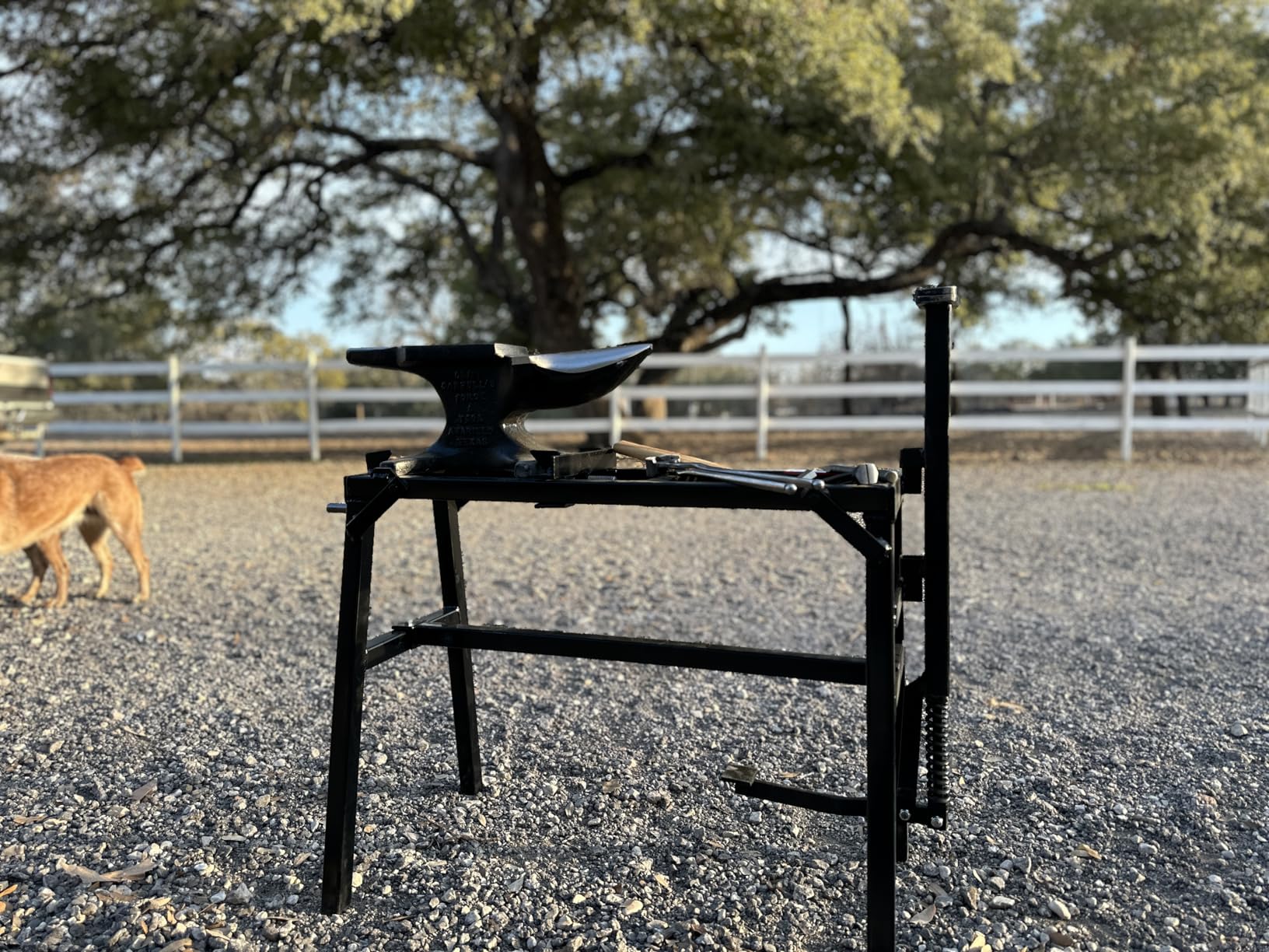 VEVOR Single Horn Anvil, 66 lbs, High Hardness Cast Steel, Rugged Round Horn Anvil Blacksmith, with Pritchel and Hardy Hole, Large Countertop Stable Base, Metalsmith Tool for Bending and Shaping customer photo 1