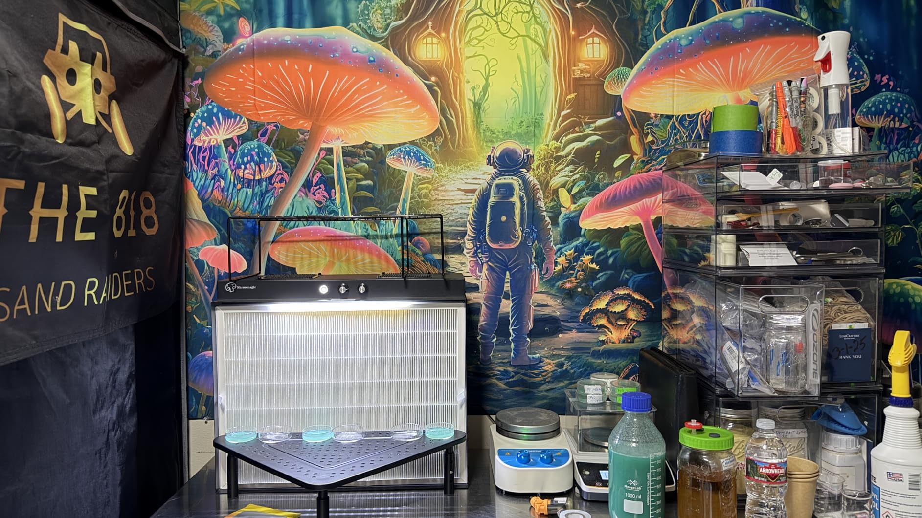 Laminar Flow Hood with H13 HEPA Filter (20