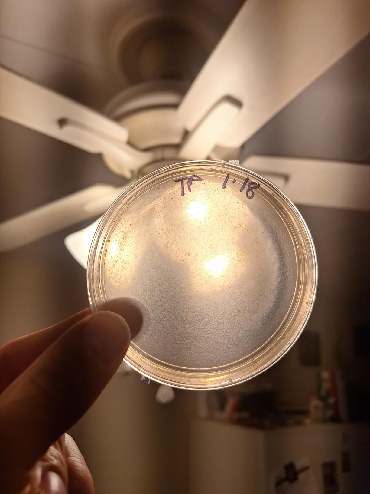 Laminar Flow Hood with H13 HEPA Filter (20