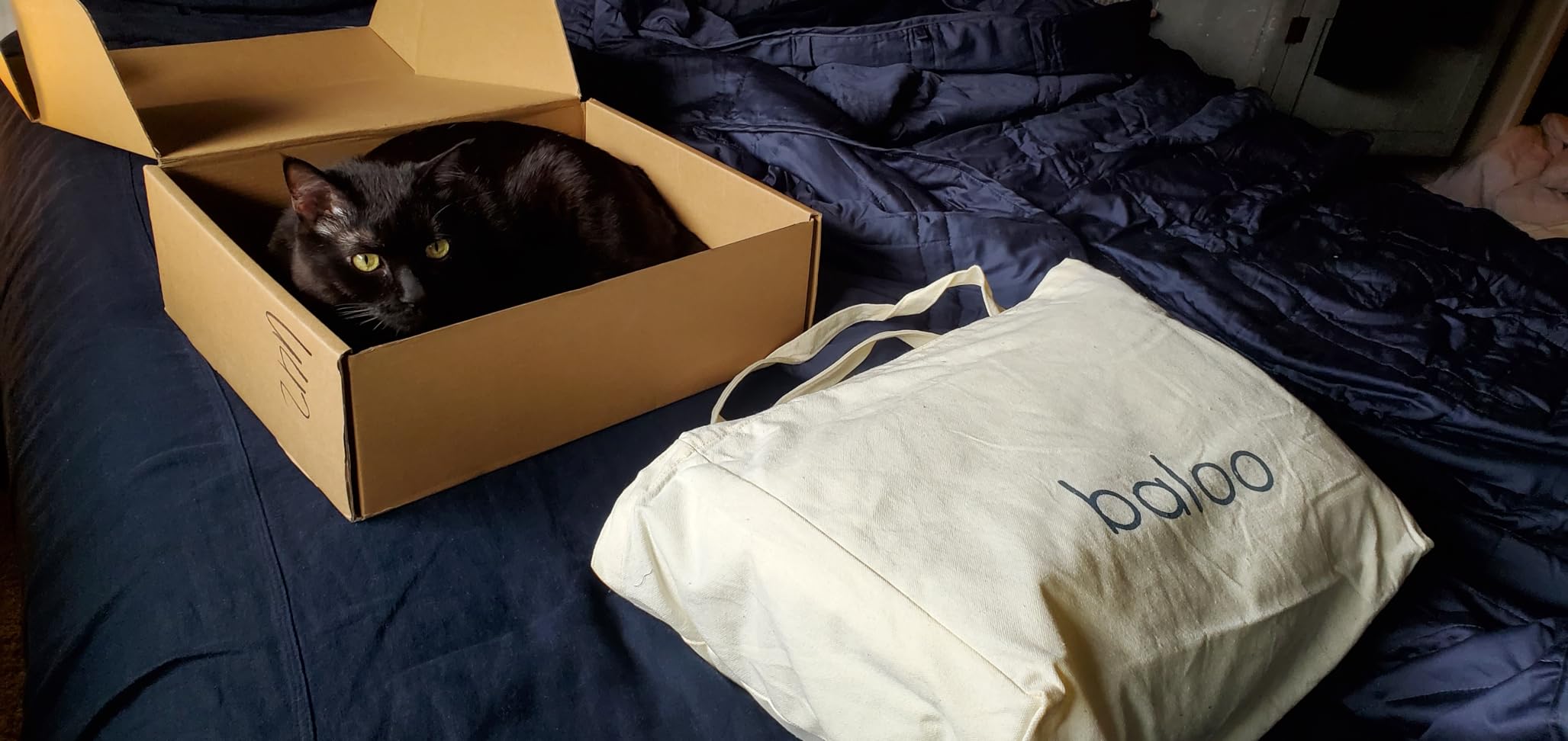 Baloo Weighted Blanket for Adults 20 lb (Moss, 80