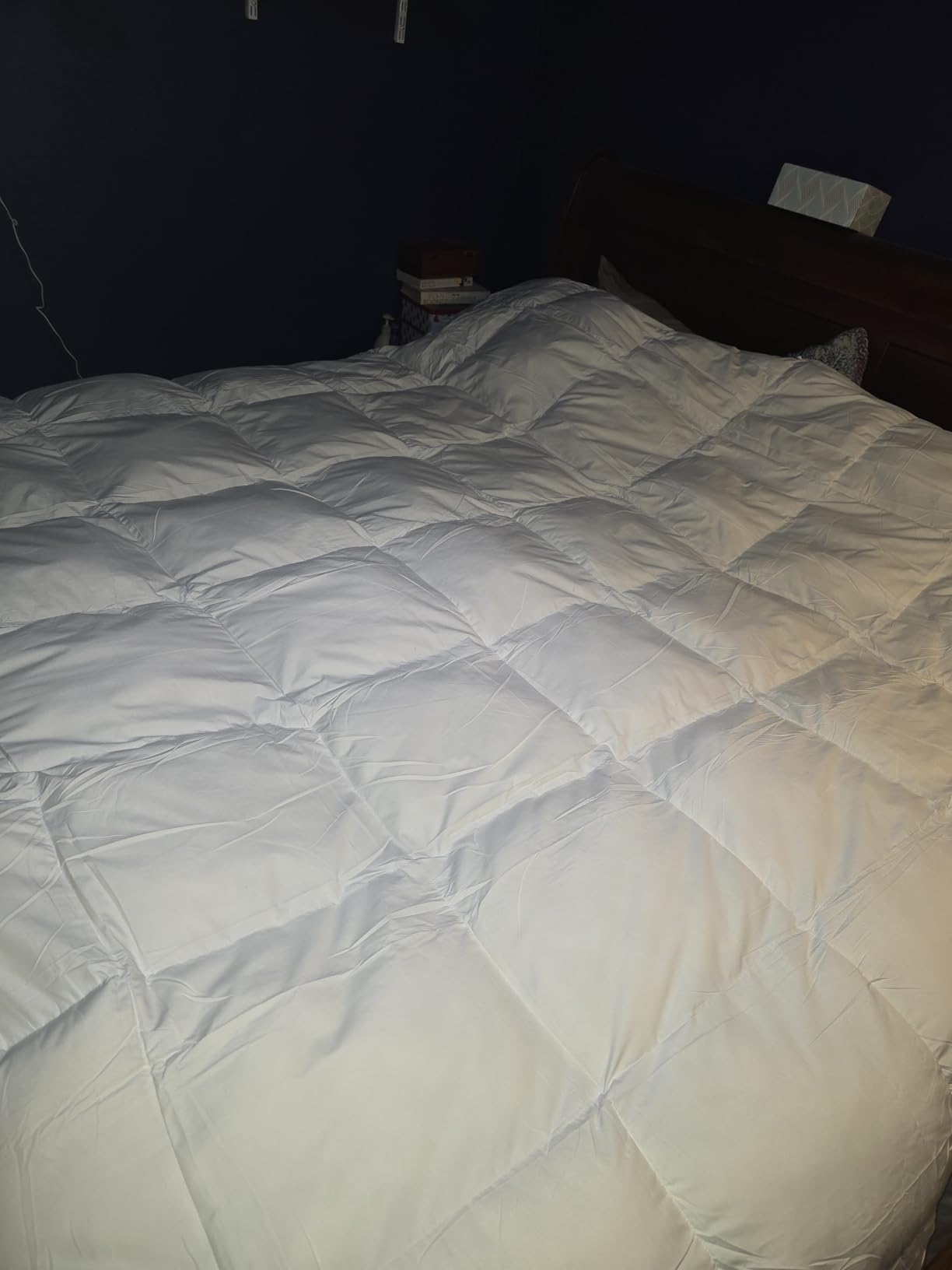 L LOVSOUL Down Comforter King Size, 850+ Fill Power Hotel Style Bedding Comforter, 1200TC, Fluffy Ultra Soft All Season White Duvet Insert with 8 Corner Tabs customer photo 1