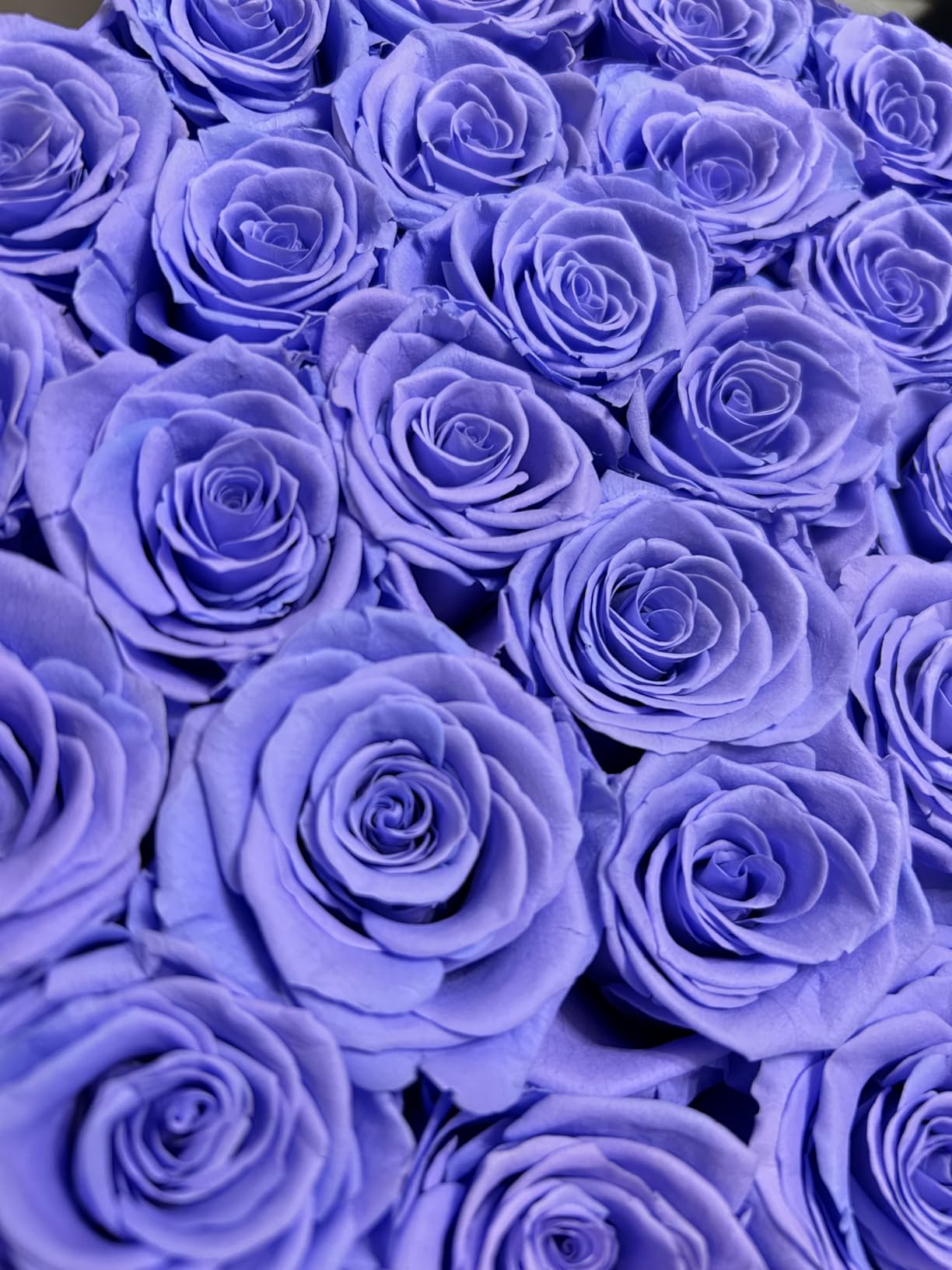 Luxury Preserved Roses Gifts for Women, 100 Roses in Velvet Box, Flowers for Delivery, Presereved Flowers Birthday Gifts for Her Mom and Wife (Red) customer photo 1