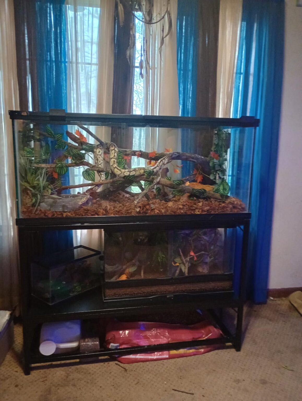 10 Best Fish Room Rack Systems (June 2026) Expert Reviews