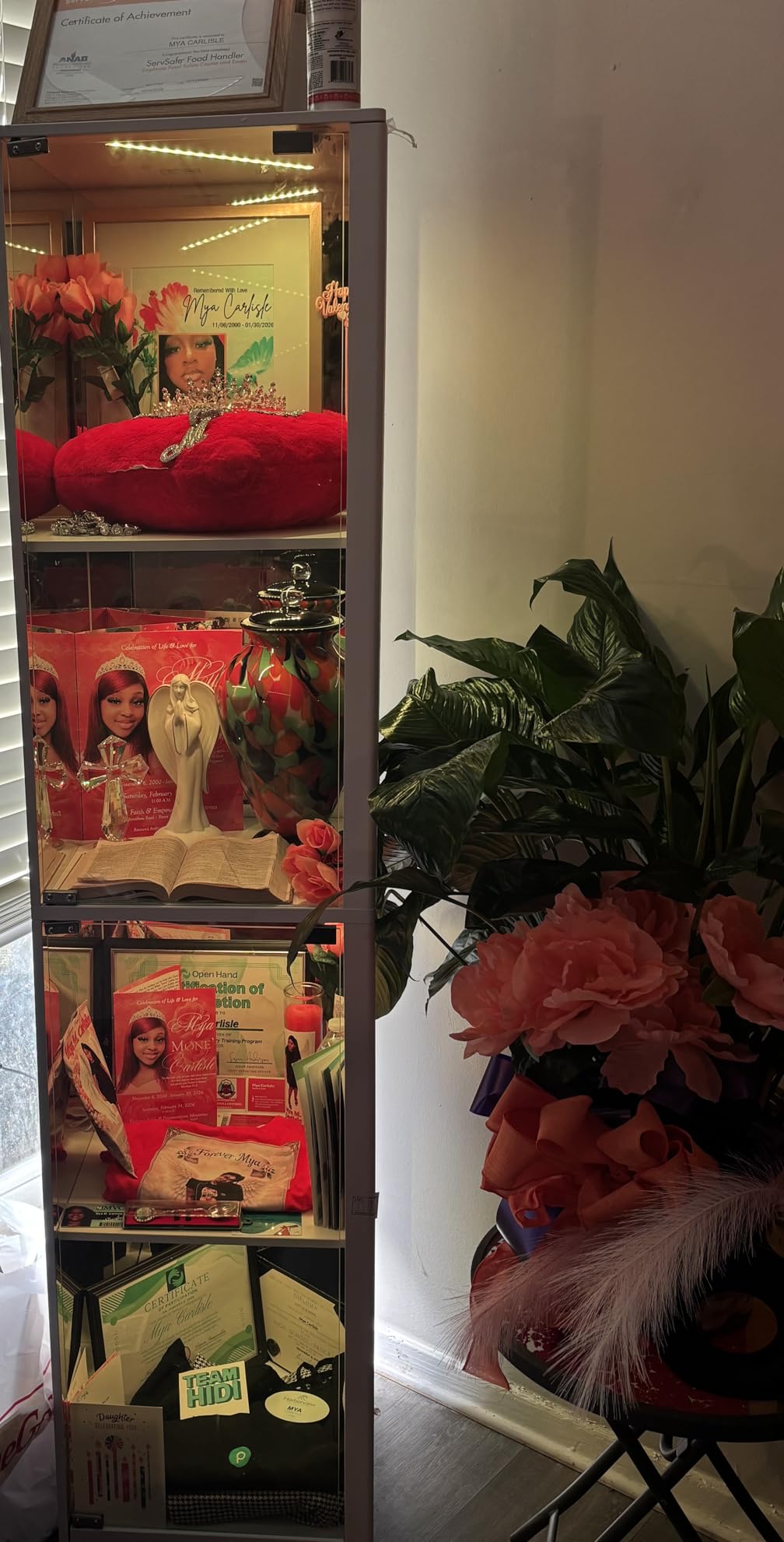 Glass Display Cabinet with RGB Lights- 68