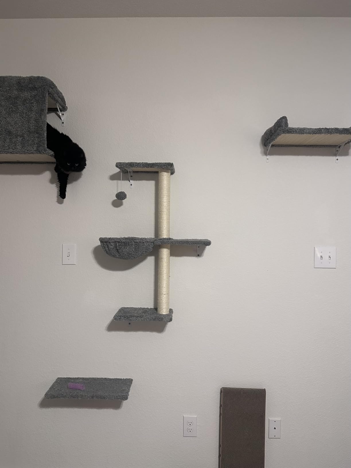 5-in-1 Cat Wall Shelves, Solid Wood & Velvet & Sisal Scratcher, 44lbs Max Load, Wall Mounted Cat Furniture for Climbers, Cat Climbing Wall System, Fits Drywall & Solid Walls - Cool Gray customer photo 1