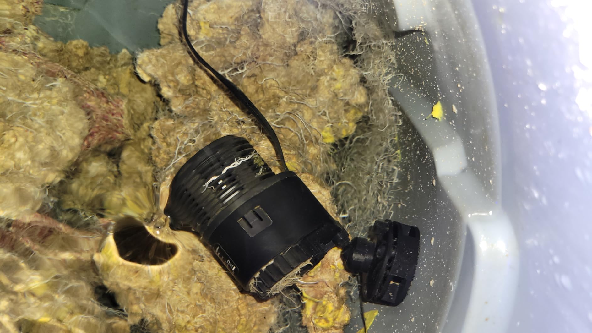 hygger Aquarium Wave Maker 18W 2500GPH Submersible Water Circulation Pump with Magnetic Base, Quiet Rotating Powerhead for 60-150 Gallon Freshwater & Saltwater Tanks customer photo 2