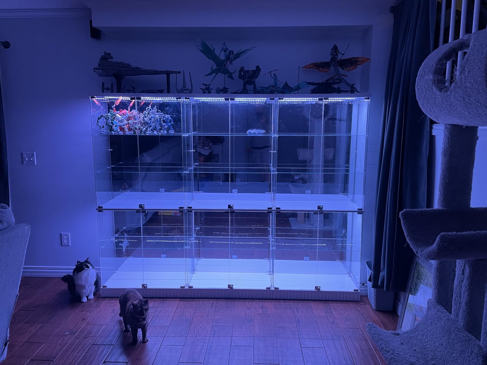 Glass Display Cabinet with RGB Lights - 5-Tiers Curio Cabinet Display Case with Lock, Frameless Tall Showcase Display Shelf for Collectibles & Legos, Living Room Bookcase Storage Cabinet (Black) customer photo 1