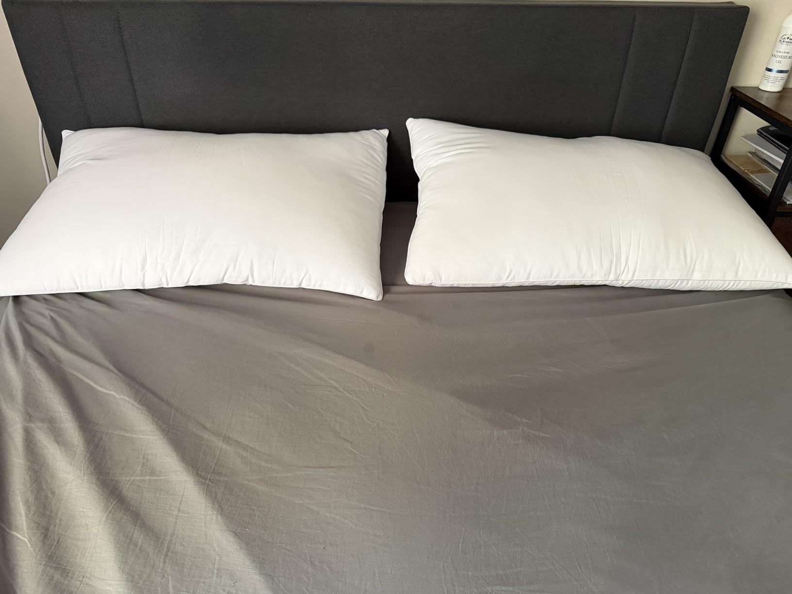 Canadian Goose Down Pillows Queen Size 80% Goose Down and 20% Goose Feathers,1650+ Fill Power White Down Pillow with 800 Thread Count Cotton Shell,Ultra Comfort Bed Pillows(White 20