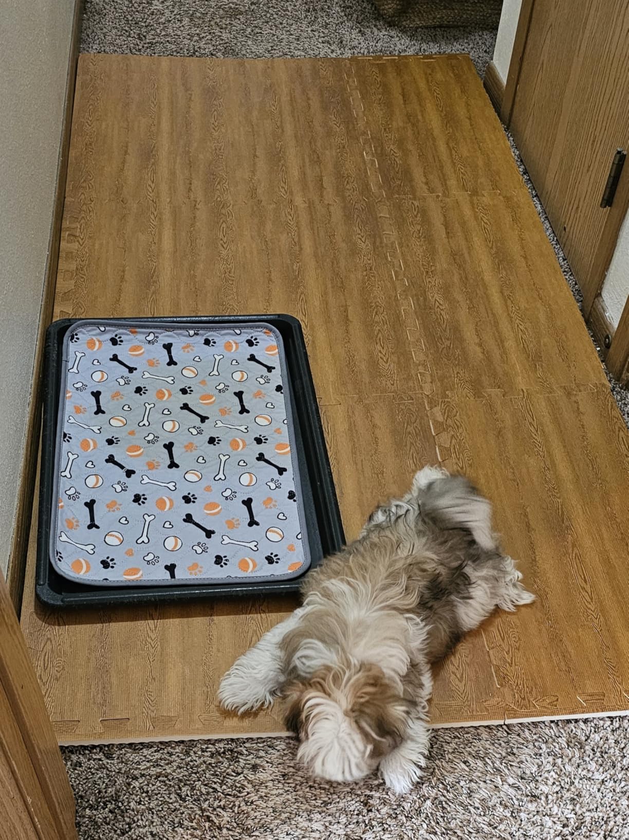 Sorbus 144 Sq. Ft. Wood Grain Floor Tiles Foam Mat EVA Interlocking Mats Tile 3/8-Inch Thick Flooring Wood Puzzle Exercise Mats w/Borders - Home Playroom Basement, Apartment, Trade Show, Baby, Dance customer photo 1