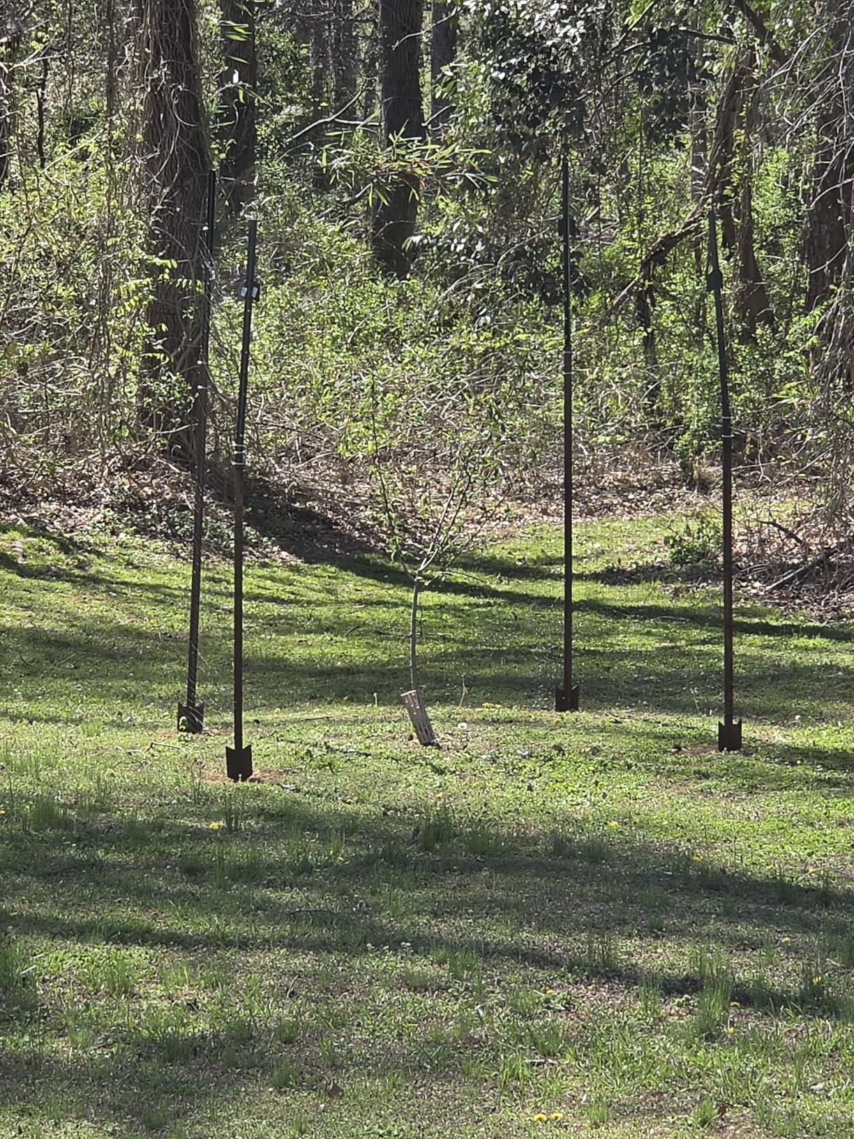 FEED GARDEN Deer Netting Deer Fence Netting, 7 x 200 Feet for Garden Protection Reusable Protective for Plants Fruit Trees Vegetables Against Birds and Other Animal customer photo 1