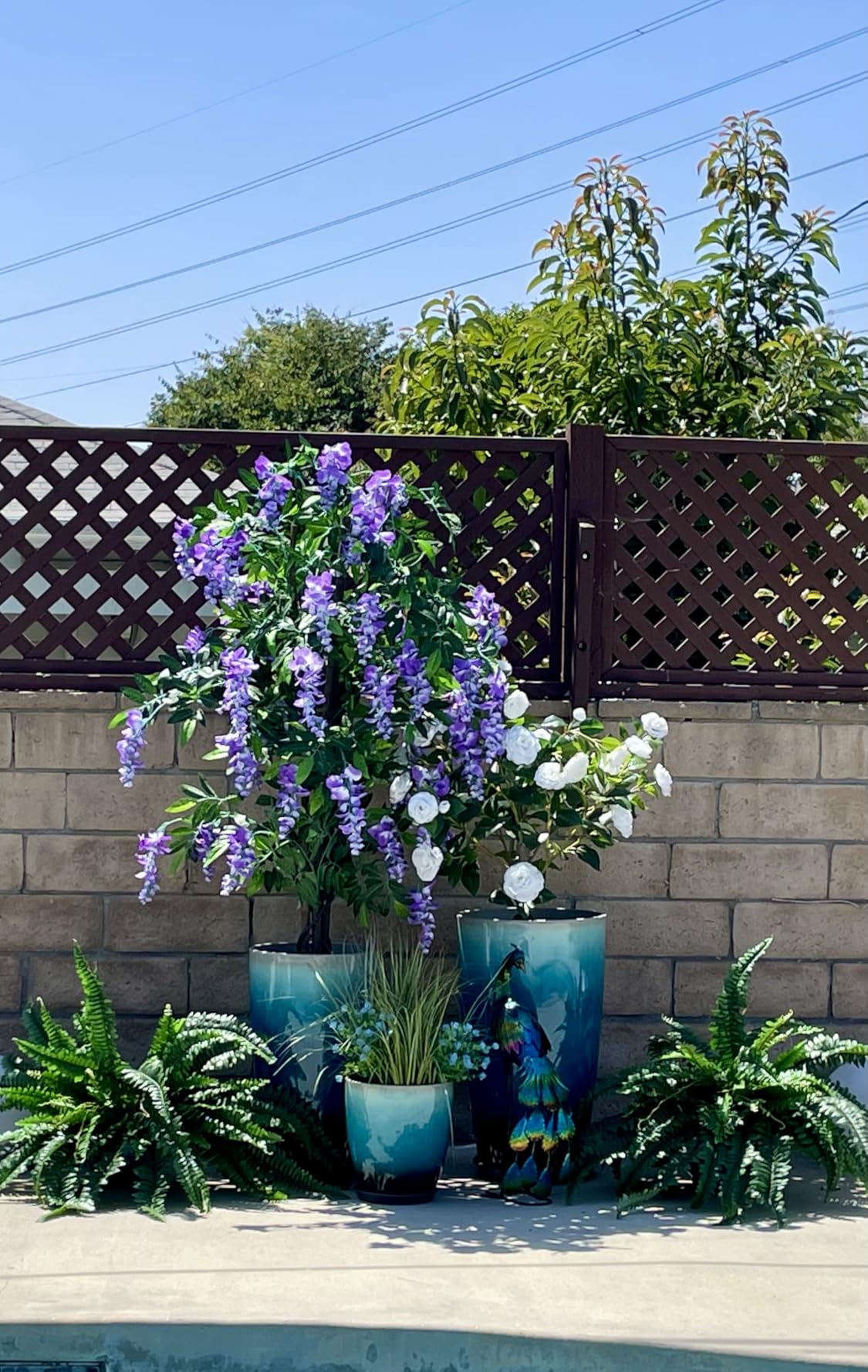 Goplus 6FT Ficus Artificial Tree, 2 Pack Faux Wisteria Tree in Nursery Pot with Purple Lifelike Flowers customer photo 2