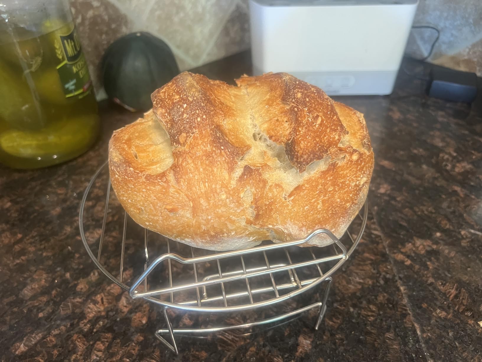 Le Creuset Enameled Cast Iron Signature Oval Bread Oven, 11.5