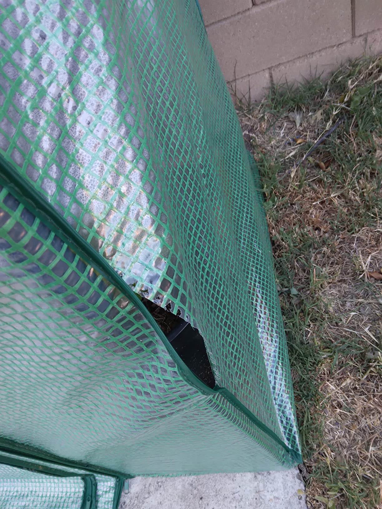 Quictent Essential Walk-in Greenhouse for Outdoors, 56x56x77 inch Portable 3-Tier 4-Shelf Garden Hot House Kit with Plastic Cover for Winter Seed Starting Plant Protection Backyard Patio, Clear customer photo 2