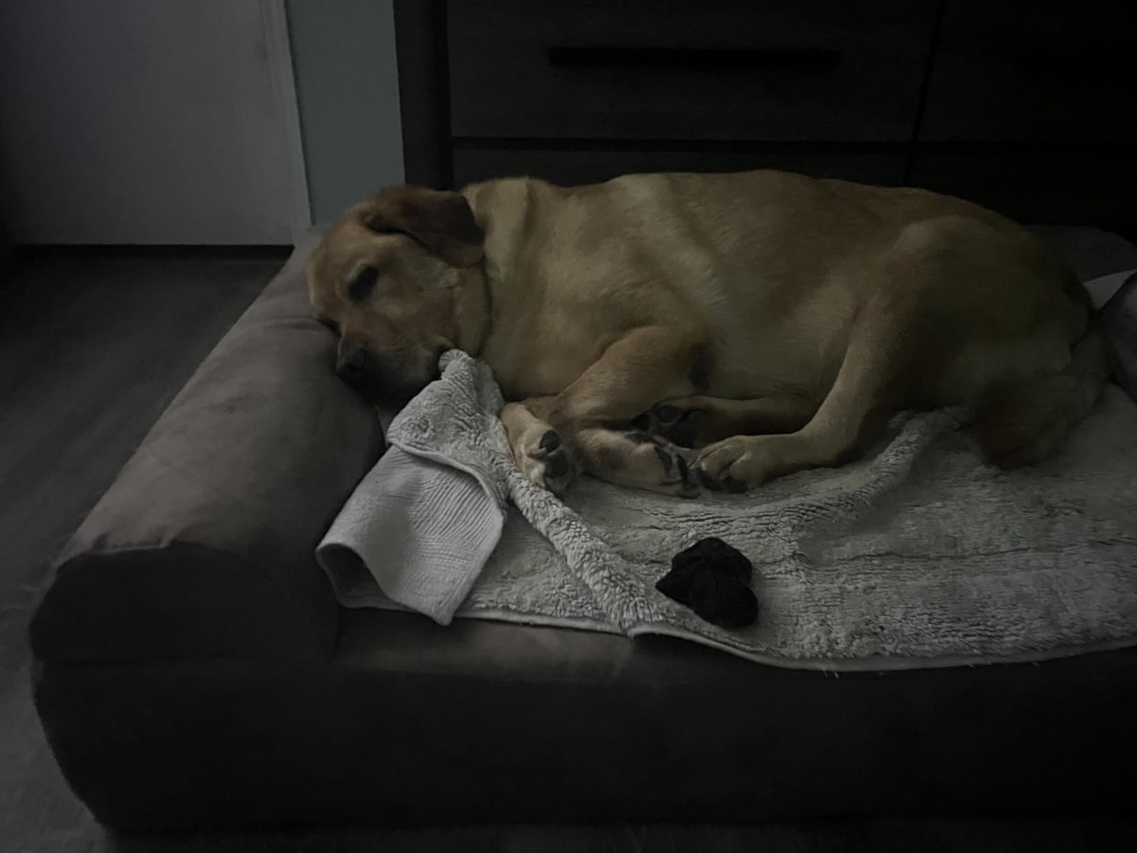 Barker Beds Large Orthopedic Dog Sofa Bed - 7