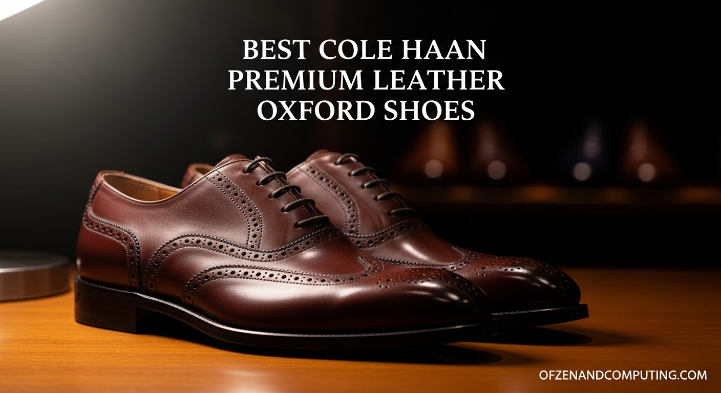 Best Cole Haan Premium Leather Oxford Shoes