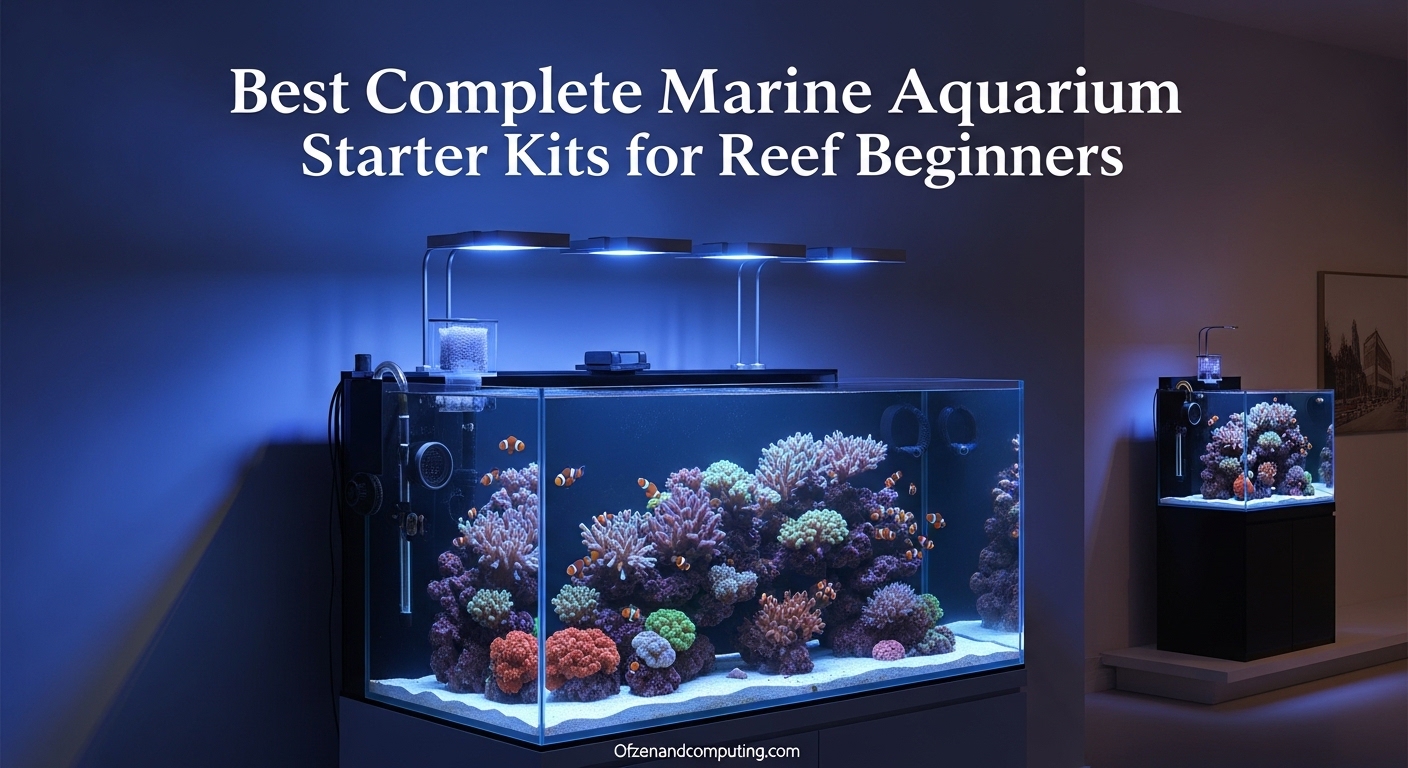 Best Complete Marine Aquarium Starter Kits for Reef Beginners