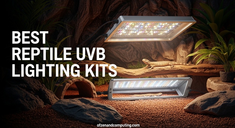 Best Reptile UVB Lighting Kits