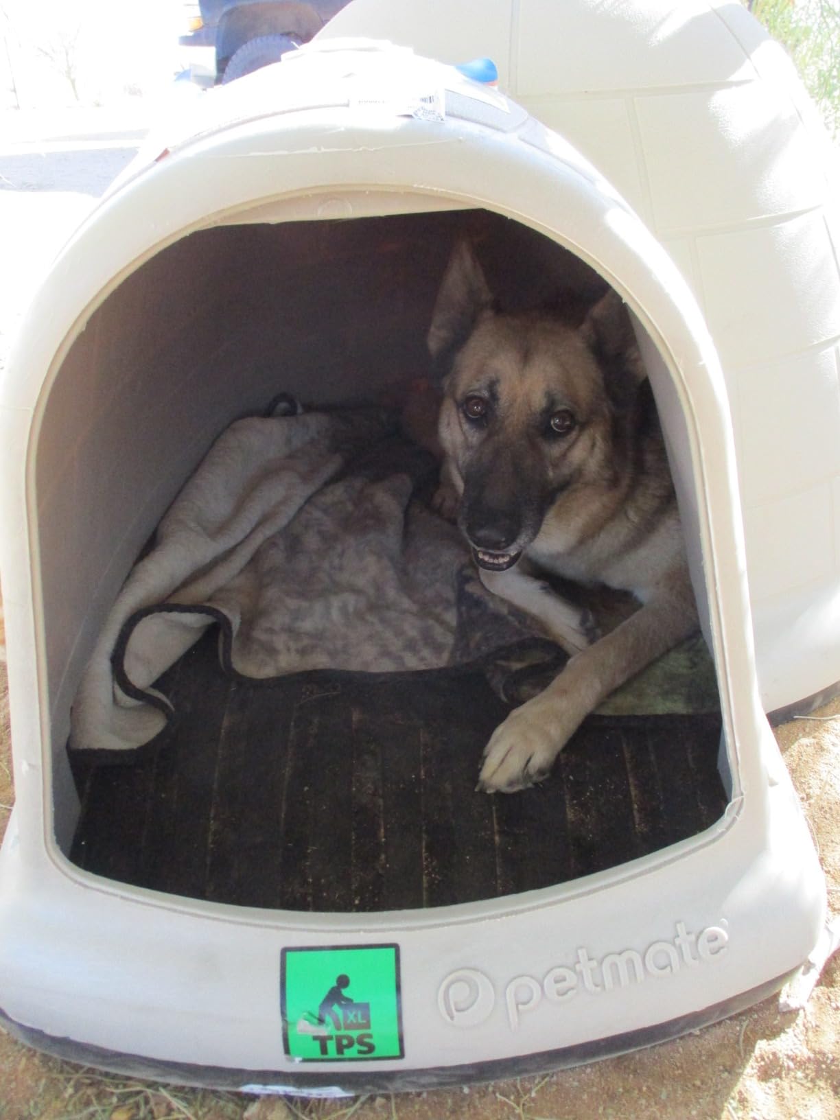 Petmate Large Dog House Outdoor Weatherproof - Indigo Igloo Dog House, Made in USA, for Large Dogs 50 to 90 pounds customer photo 1