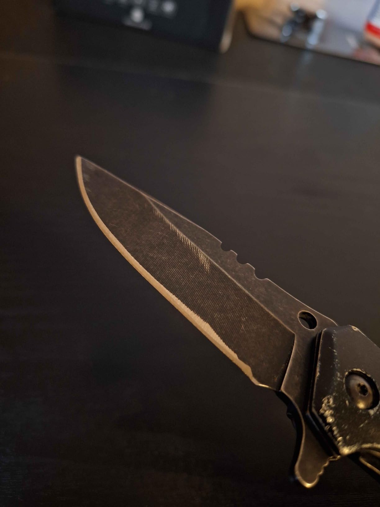 Presto 08810 Professional Electric Knife Sharpener customer photo 2