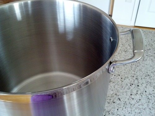 Tramontina Gourmet Stainless Steel 16-Quart Stock Pot with Lid customer photo 1