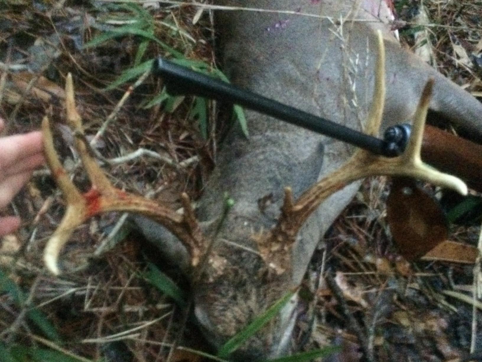 Extinguisher Deer Call by Illusion | Grunt Tube | Buck, Doe, Fawn | Adjustable 10-in-1 Call | Color (CAMO/Black) | Freeze Resistant customer photo 1