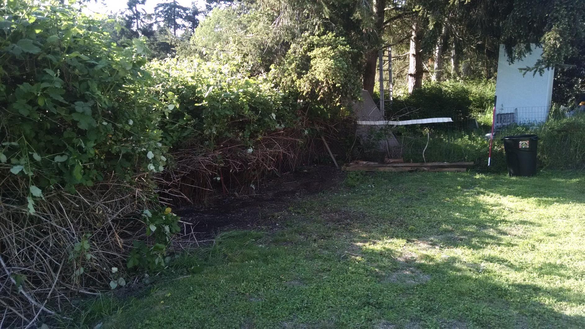 TrimmerPlus BC720 Brushcutter with J-Handle for Attachment Capable String Trimmers, Polesaws, and Powerheads customer photo 1