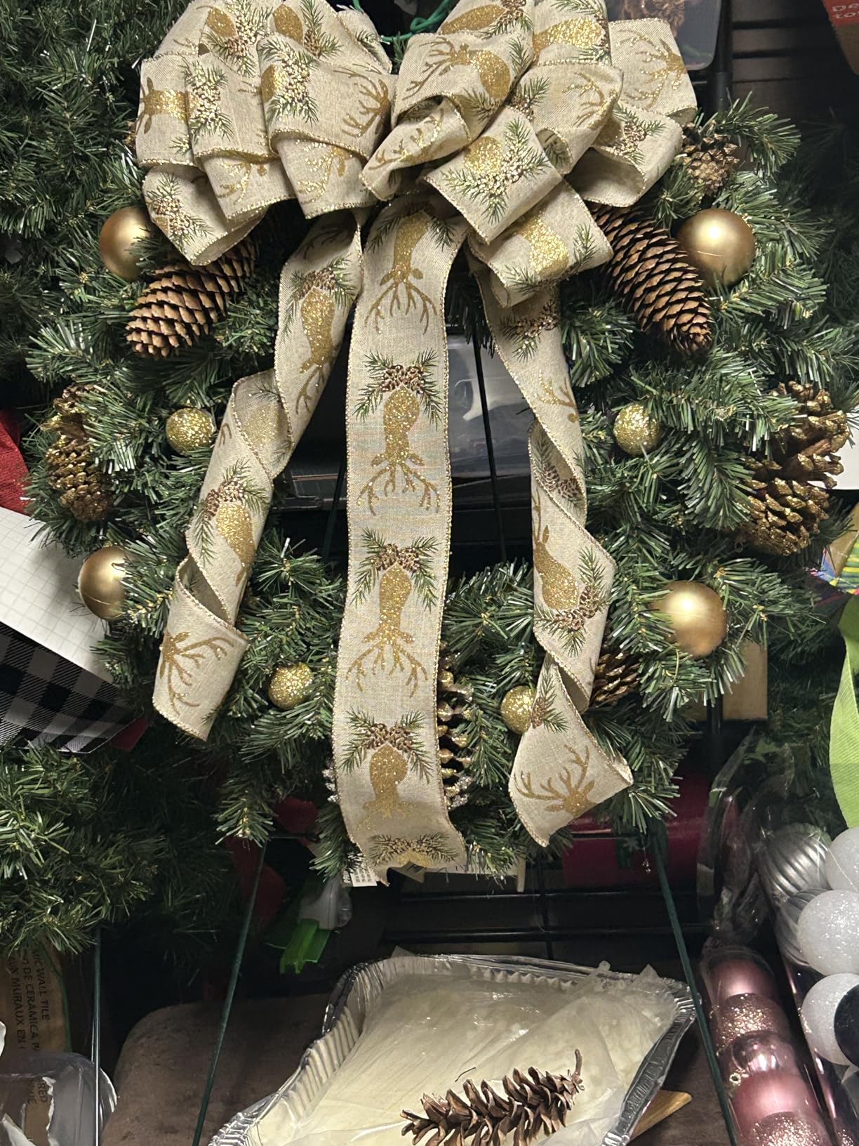 National Tree Company 24 in Pre-Lit Norwood Fir Artificial Christmas Wreath, Christmas Decoration with 50 Clear LED Lights, 250 Tips, Timer, Green customer photo 1