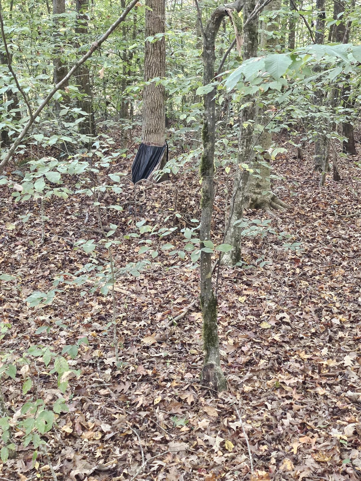 GhostBlind Ground Hunting Blind with Mirrored Panels, Ideal for Turkey and Deer Hunting customer photo 1