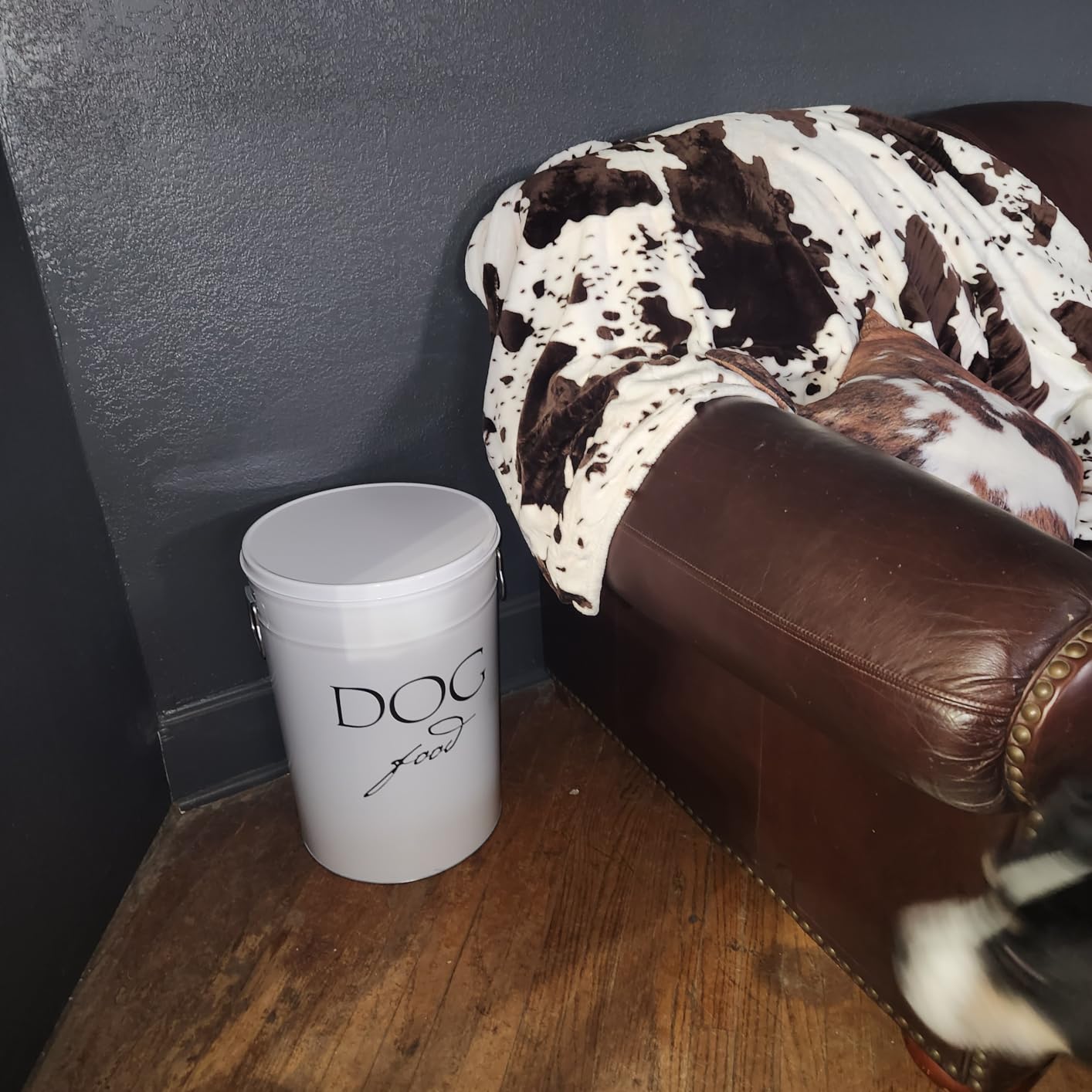 Harry Barker Bon Chien Dog Food Storage Canister - Large 11 gallon, Airtight Stainless Steel Pet Food Container, Stylish Kitchen Counter Dog Kibble Storage with Easy-Open Lid - White customer photo 1