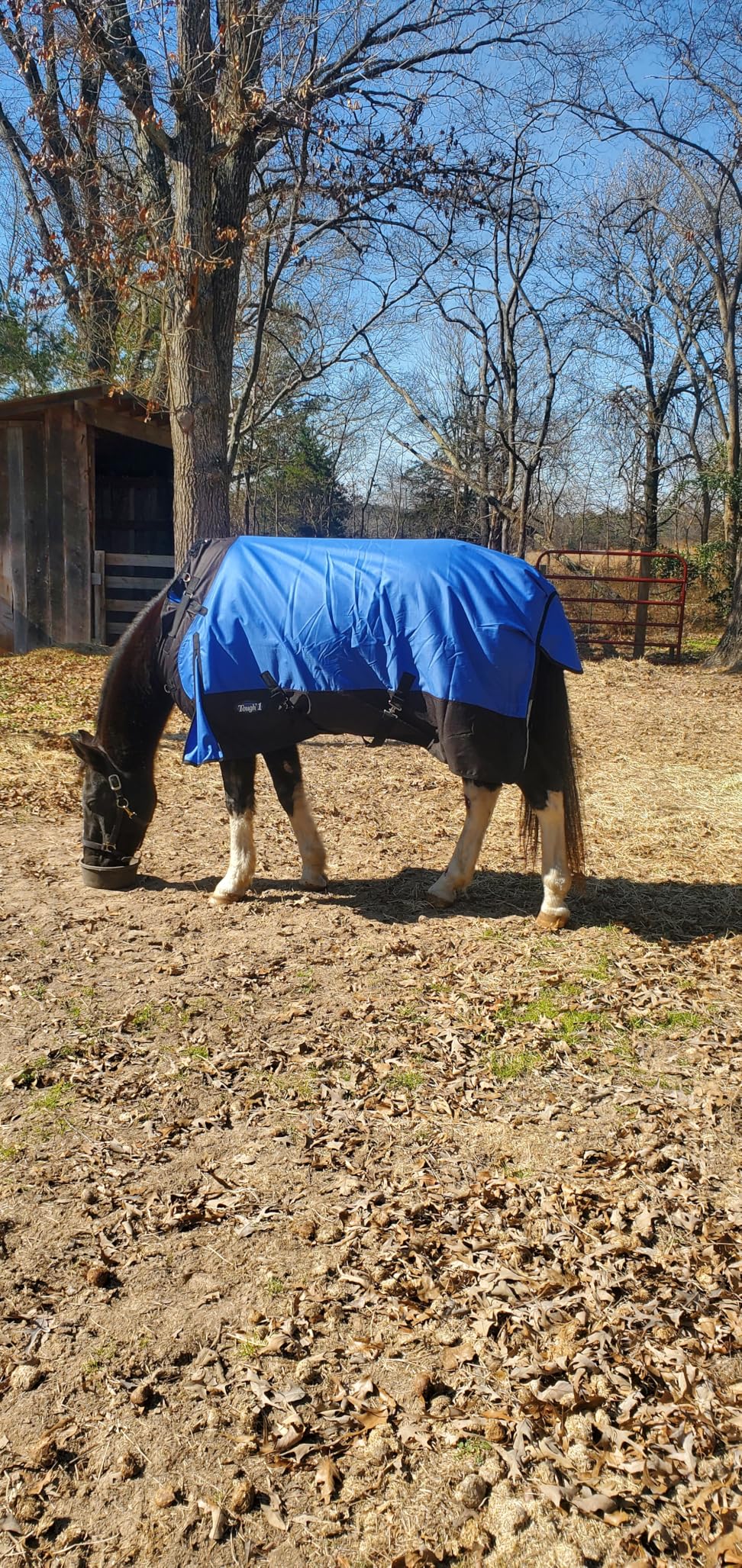 Tough1 1200D Turnout Blanket with Snuggit (200 Fill) customer photo 2