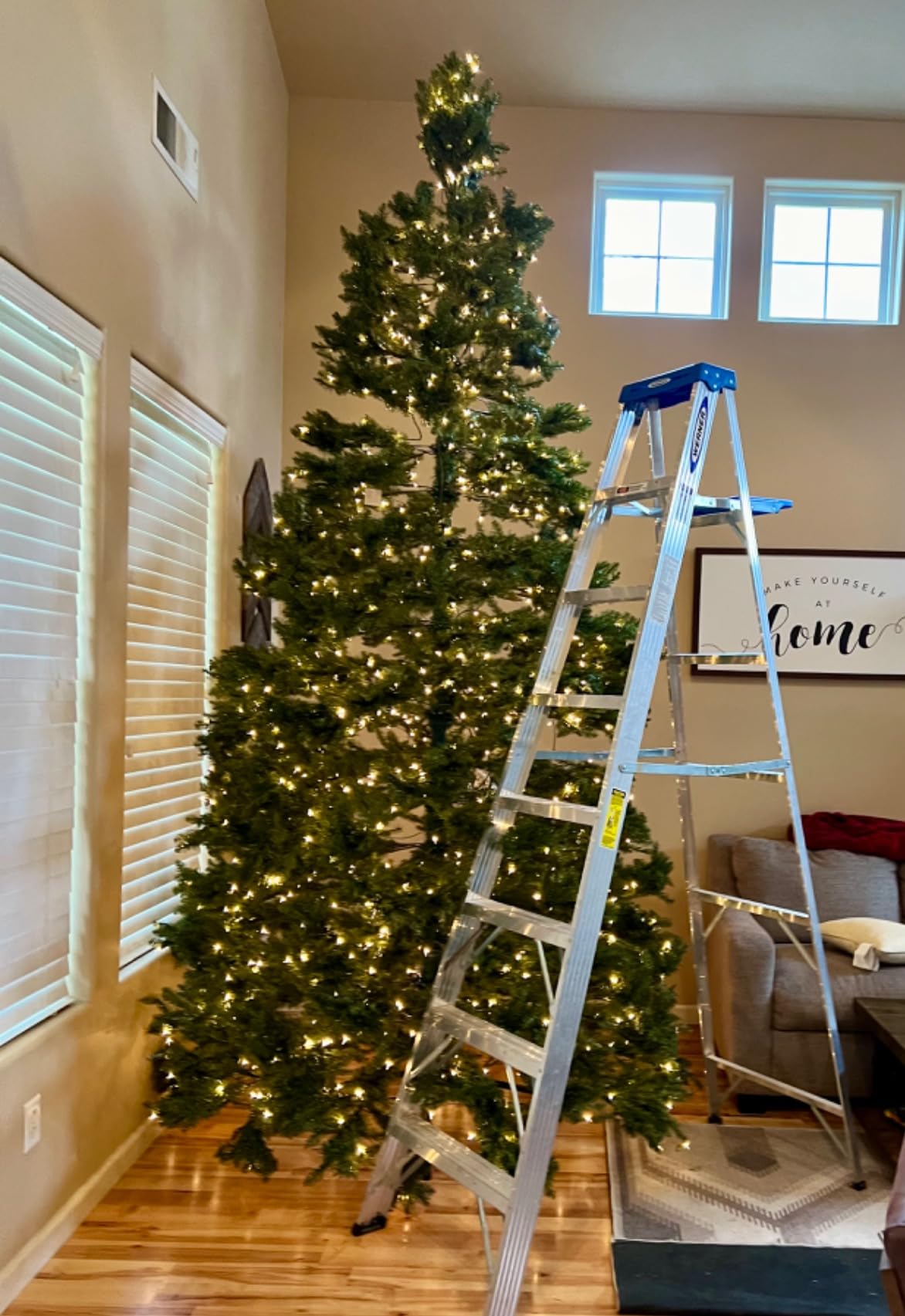 National Tree Company Pre-Lit Artificial Full Christmas Tree, Green, Dunhill Fir, White Lights, Includes Stand, 9 Feet customer photo 2