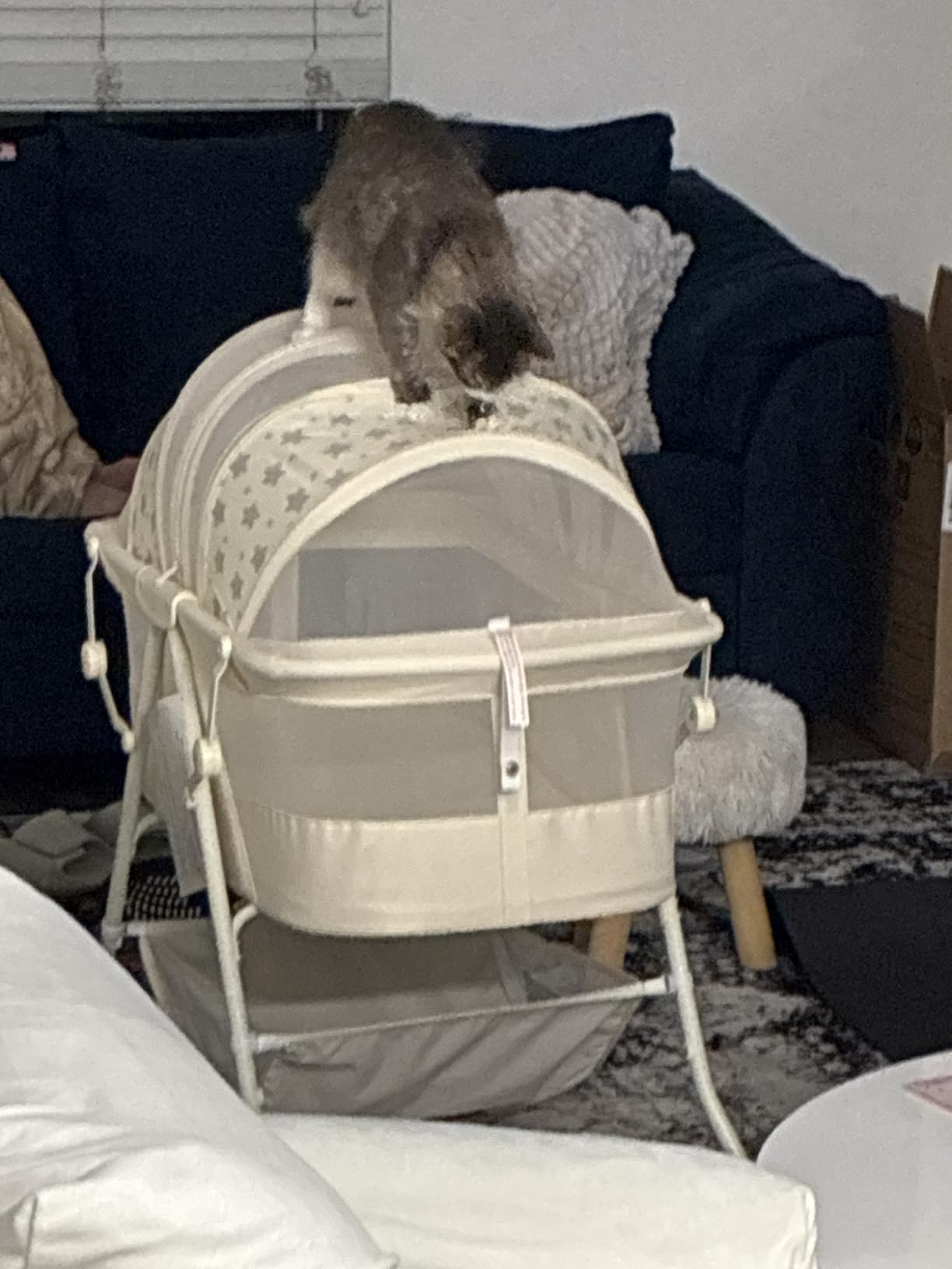 Dream On Me Karley Bassinet, Award Winner Lightweight Travel Baby Bassinet, Foldable Bedside Sleeper, Adjustable Double Canopy, Spacious Design, Soft Fabric, Storage Basket - Blue and Grey customer photo 2