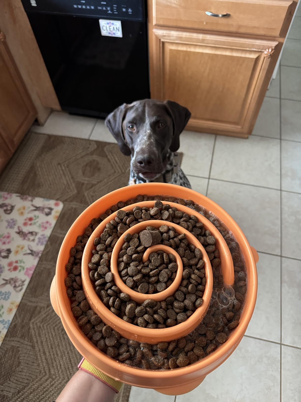Outward Hound Fun Feeder Slo Bowl - Large 4-Cup Capacity, Slow Feeding, Medium to Large Dogs, Non-Slip, Turquoise, Drop Pattern customer photo 1