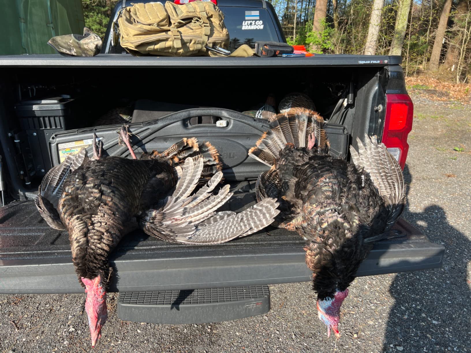 Avian X LCD Feeder Hen Turkey Decoy customer photo 1
