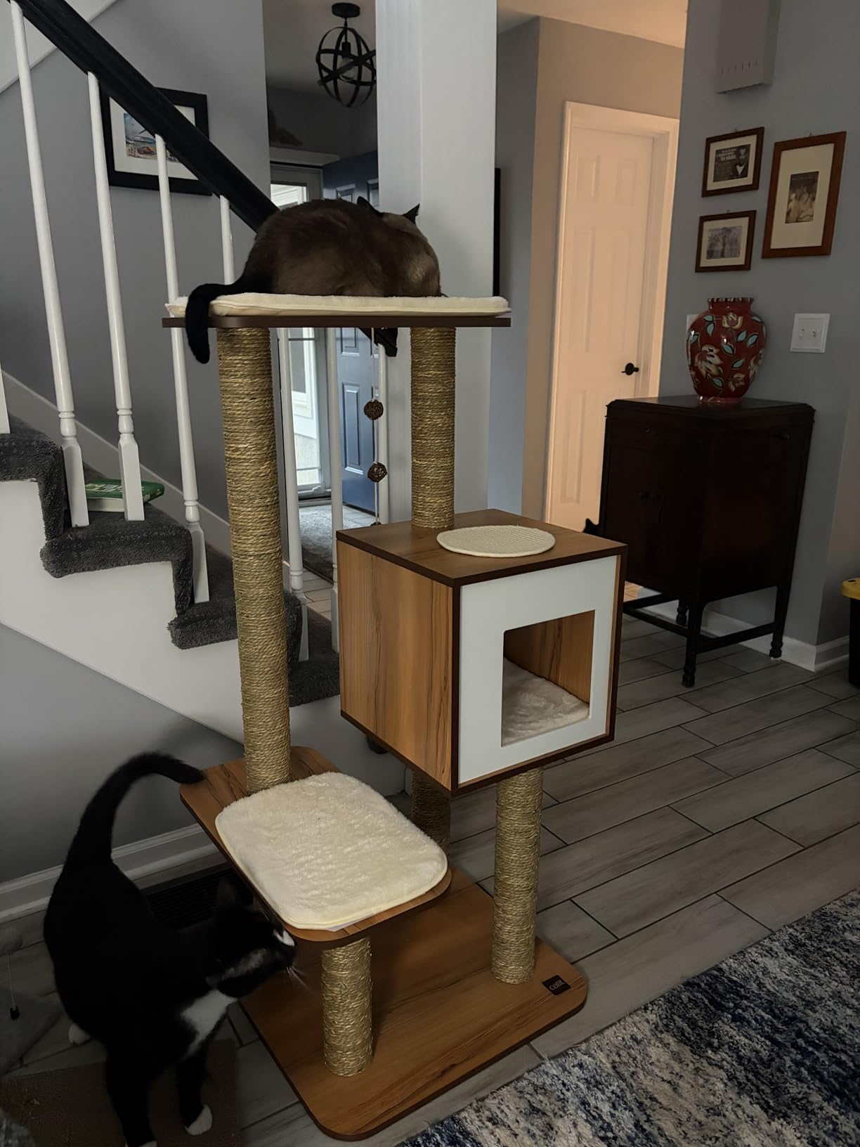 Vesper Cat Tree, High Base, Walnut, 52045 customer photo 1