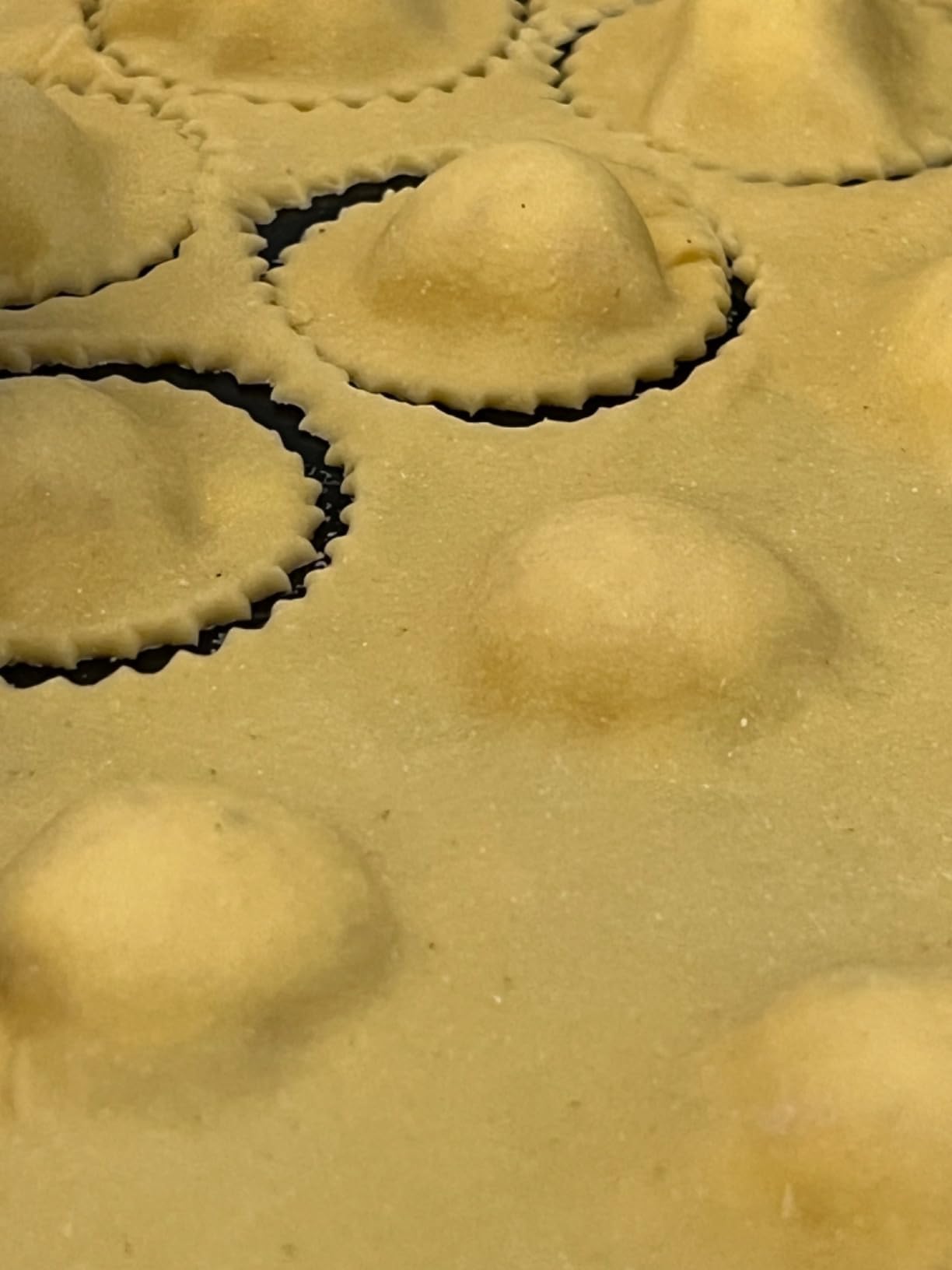 Fox Run Ravioli Maker, Large, Aluminum, Makes 10 Jumbo 2 inch Raviolis customer photo 1
