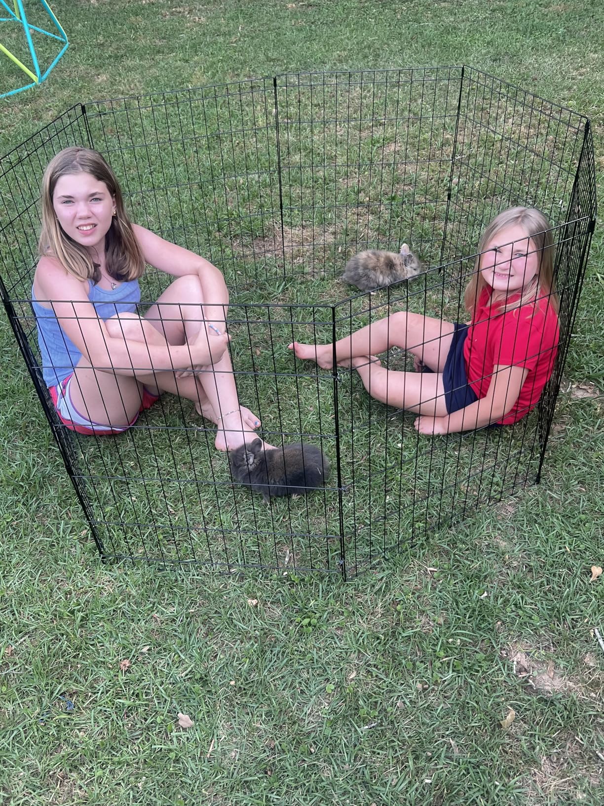 BestPet Foldable Dog Playpen, 24 Inch, 8 Panels, Metal Pet Exercise Pen, Indoor Outdoor Portable Dog Fence with Door customer photo 2