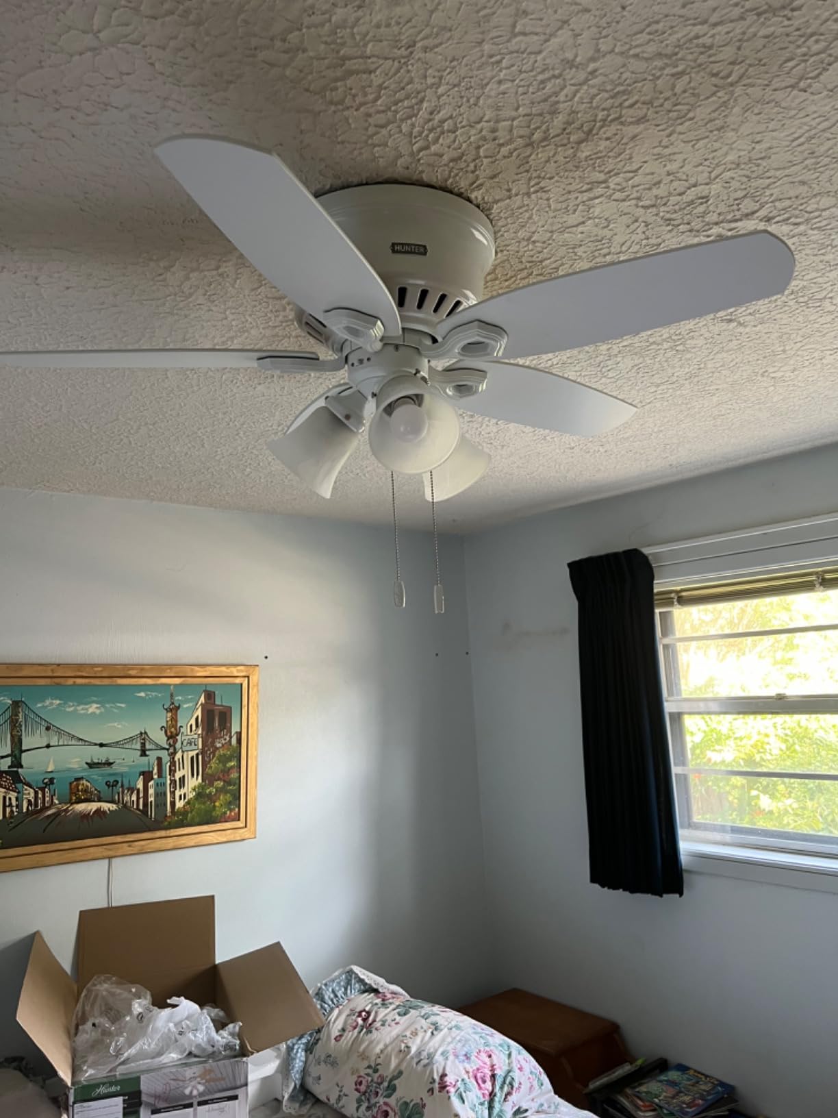 Hunter 52 inch Indoor Ceiling Fan with LED Lights - Bronze Ceiling Fan with Pull Chain, For Bedroom, Living Room, or Kitchen, Low Profile Flush Mount, No Remote, 5 Blades - Builder 53327, New Bronze customer photo 2