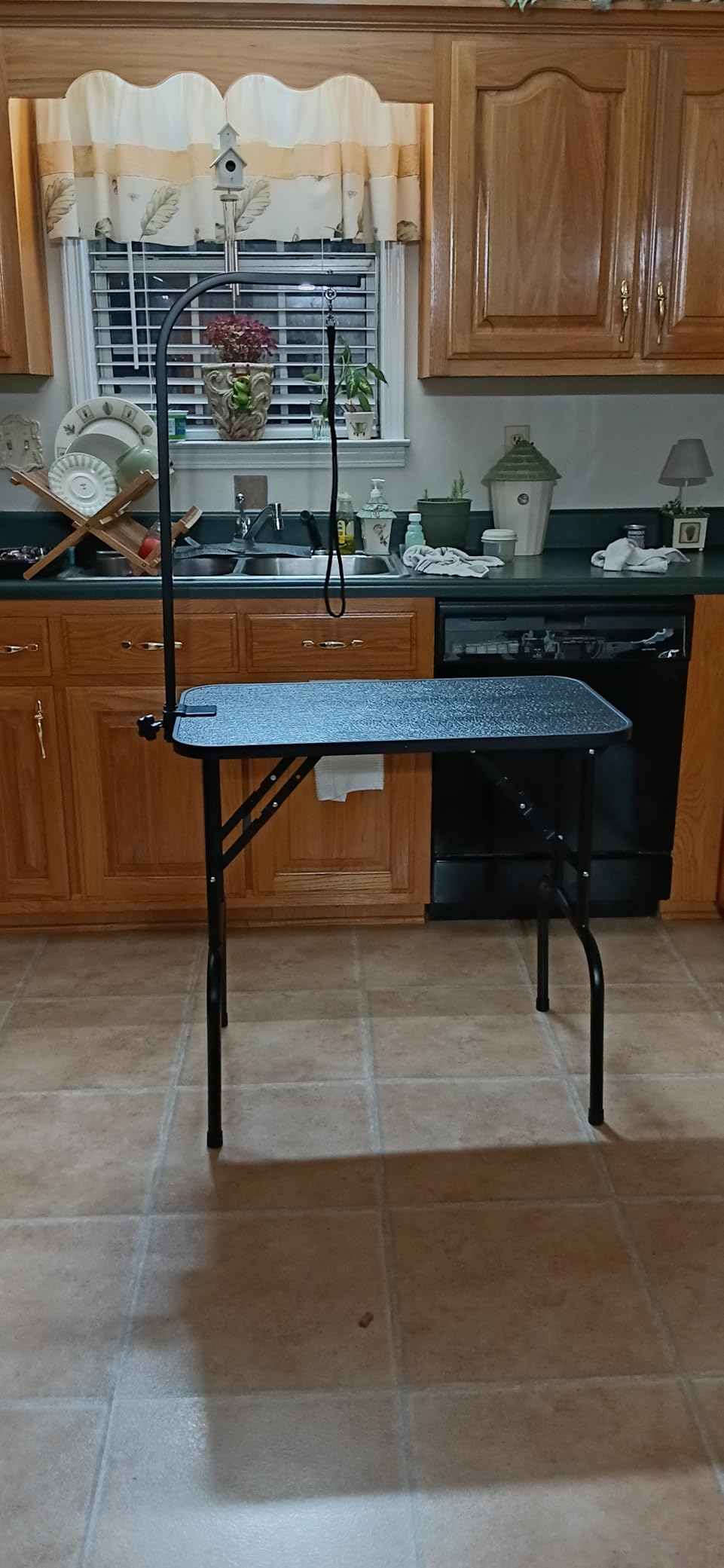 Yaheetech 32-inch Foldable Pet Dog Grooming Table with Adjustable Height Arm, Drying Table for Home w/Noose for Small Dogs Cats, Non-Slip, Max Capacity 220lbs, Black customer photo 1