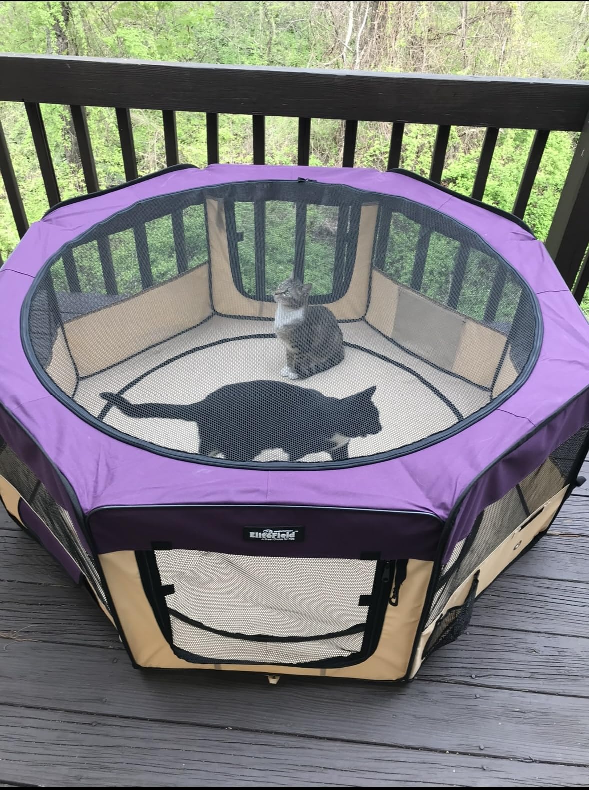 EliteField 2-Door Soft Pet Playpen (2 Year Warranty), Exercise Pen, Multiple Sizes Available for Dogs, Cats and Other Pets customer photo 1