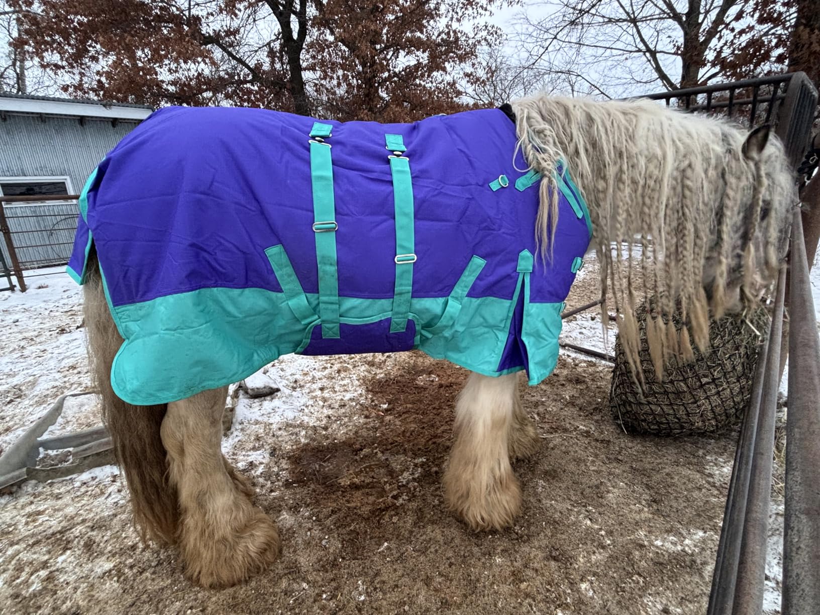 HILASON 1200D Winter Waterproof Poly Horse Blanket Belly Wrap | Turnout Blankets for Horses customer photo 1