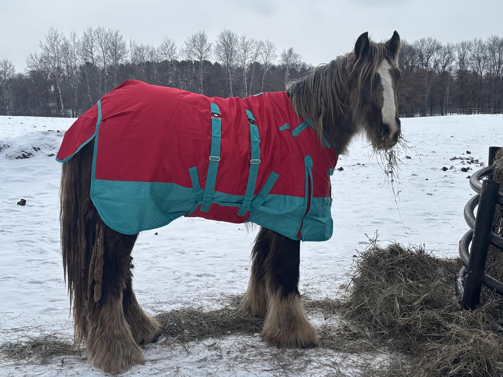 HILASON 1200D Winter Waterproof Poly Horse Blanket Belly Wrap | Turnout Blankets for Horses customer photo 2