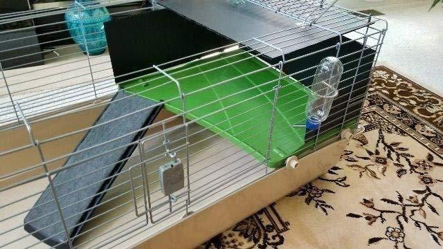 Amazon Basics Top Access Small Animal Habitat for Rabbit, Guinea Pig, Ferret & Chinchilla with Accessories, Jumbo, 48.6L x 26.6W x 20.6H, Multicolor customer photo 2
