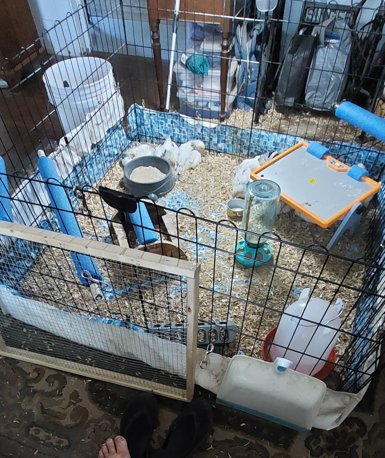 Amazon Basics Portable Foldable Octagonal Metal Exercise Dog Playpen, Indoor/Outdoor Pet Fence with Single Door, 8 Panels, 30 Inches, Black customer photo 1